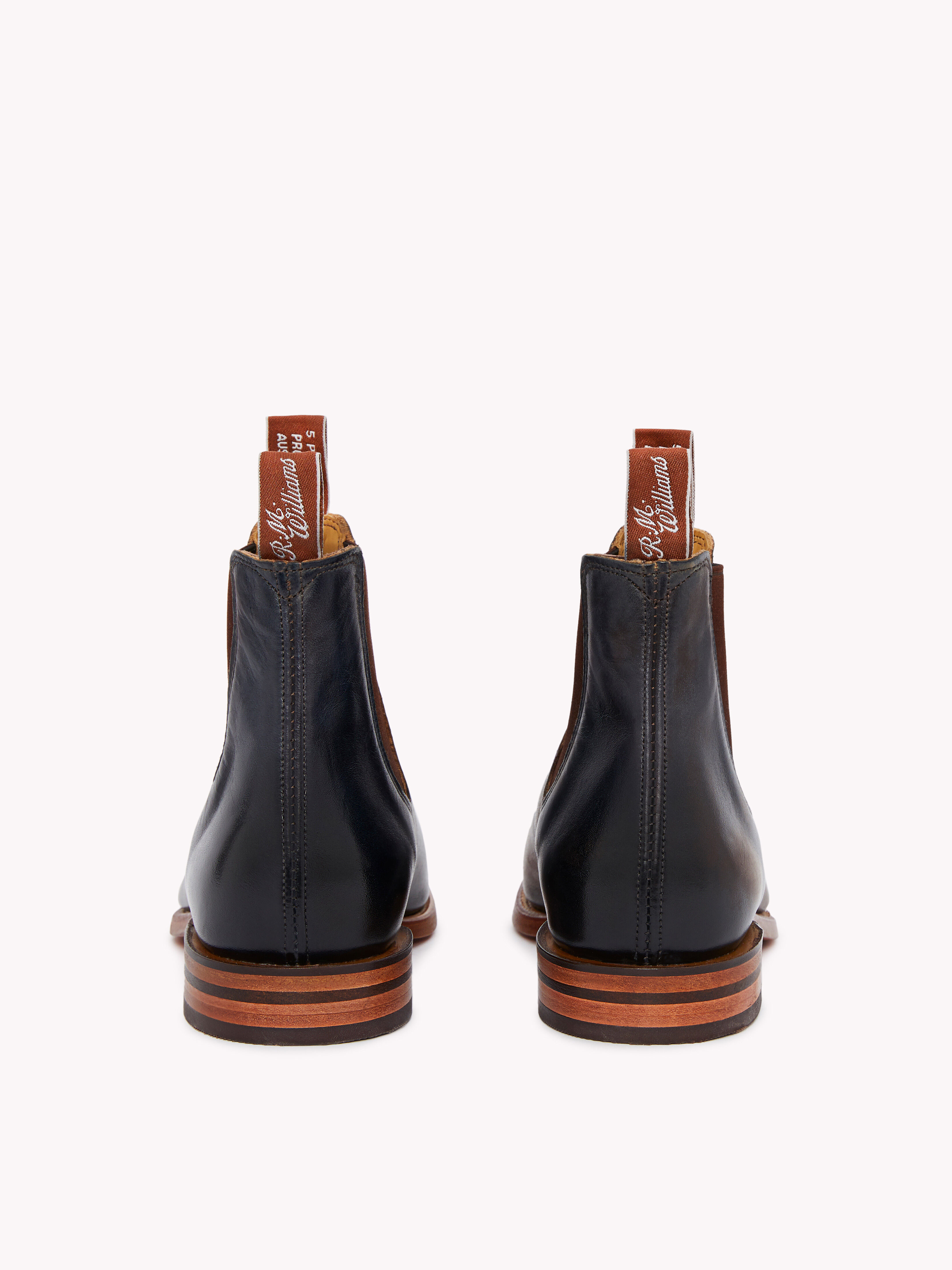 rm williams chinchilla