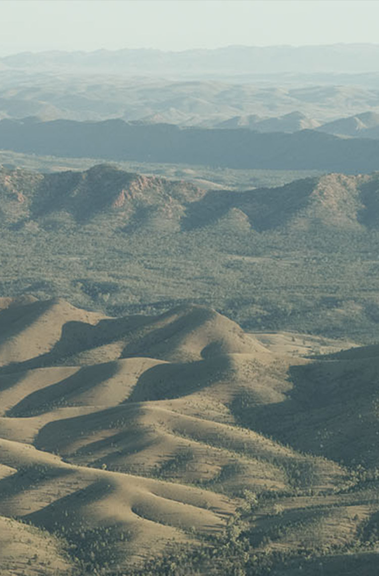 Mountain Range Mountain Range